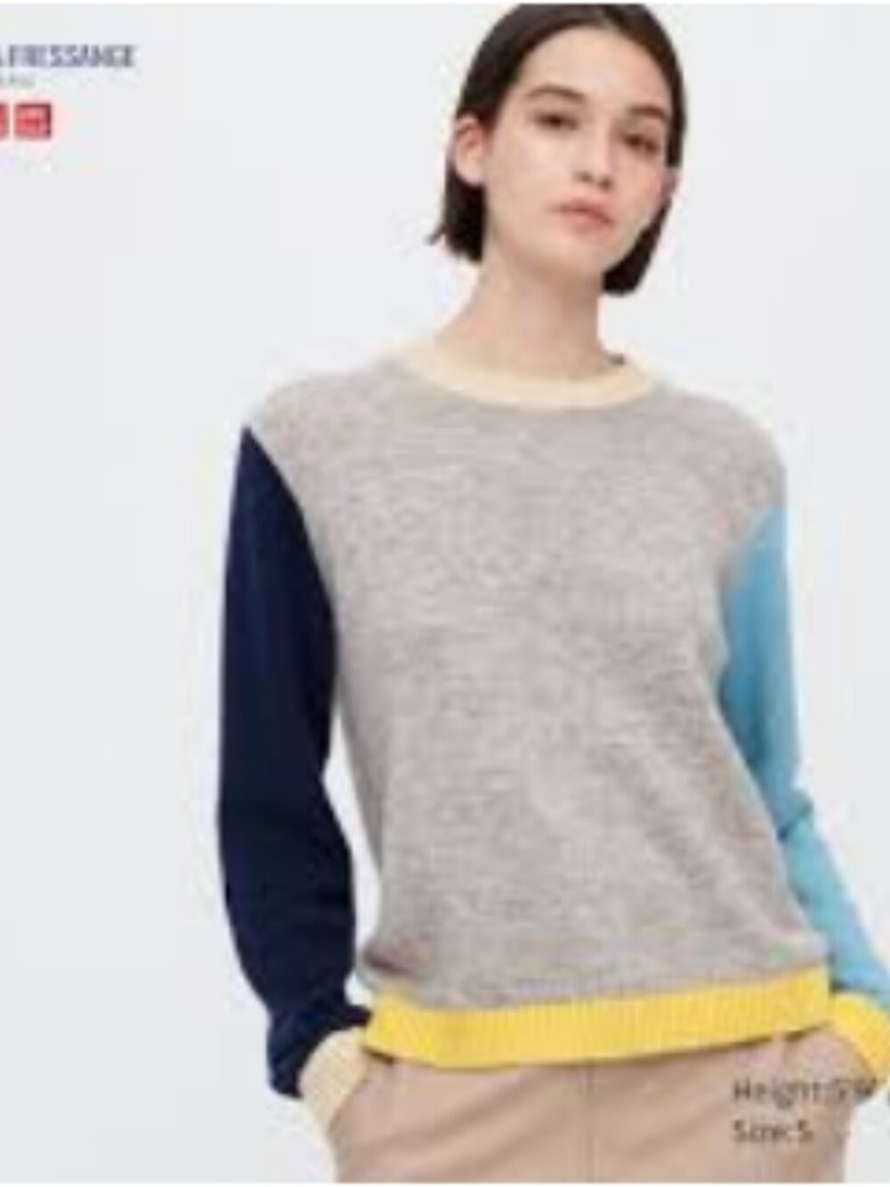 Uniqlo ines de la fressange Color Combination Crewneck Sweater